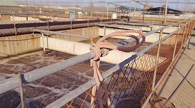 ?雷茨空气悬浮风机，让食品厂污水处理节能30%-50%